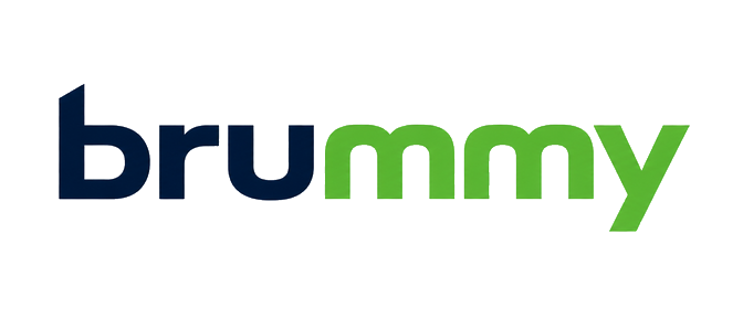 brummy বাংলাদেশের লোগো